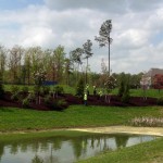 VA Mulch 2013 Virginia Hardwood Mulch