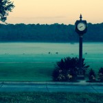 turkey @ Lake buena vista Four Seasons Golf Course - Orlando, FL