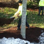 Mulch Spreading in Virginia Mulch Installation in Virginia 2012