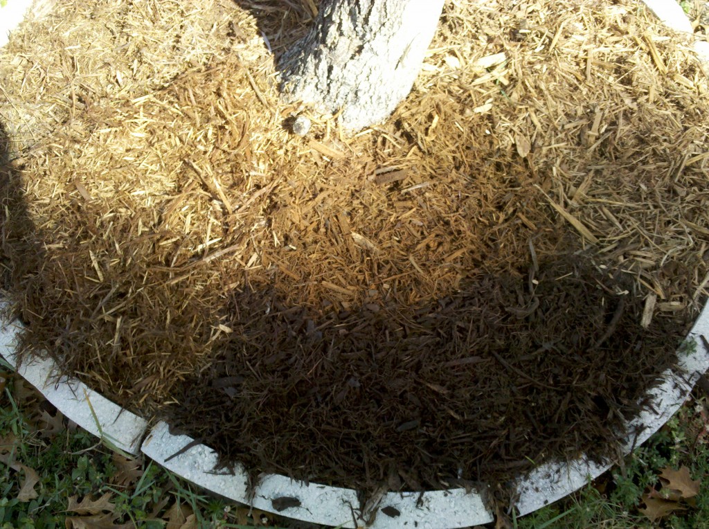 Mulch Types