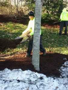 Mulch Spreading in Virginia Mulch Installation in Virginia 2012